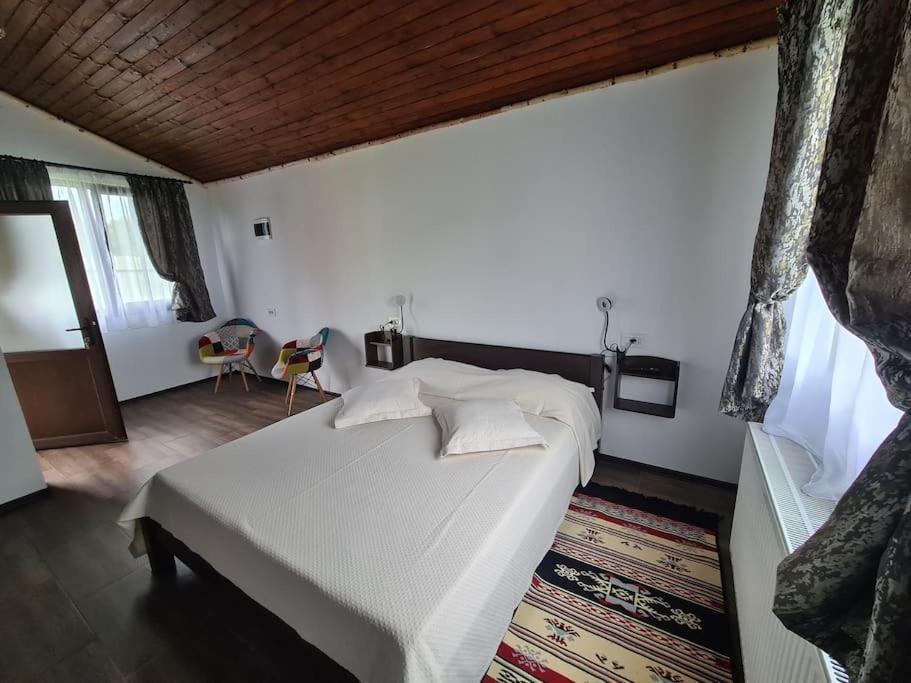 Cabana Bujor De Munte Rîşnov Esterno foto