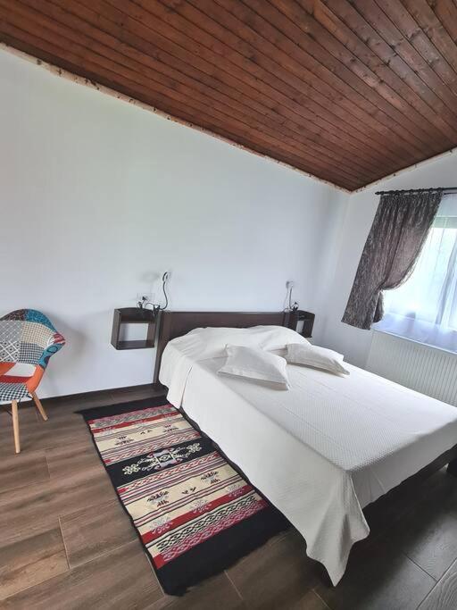 Cabana Bujor De Munte Rîşnov Esterno foto