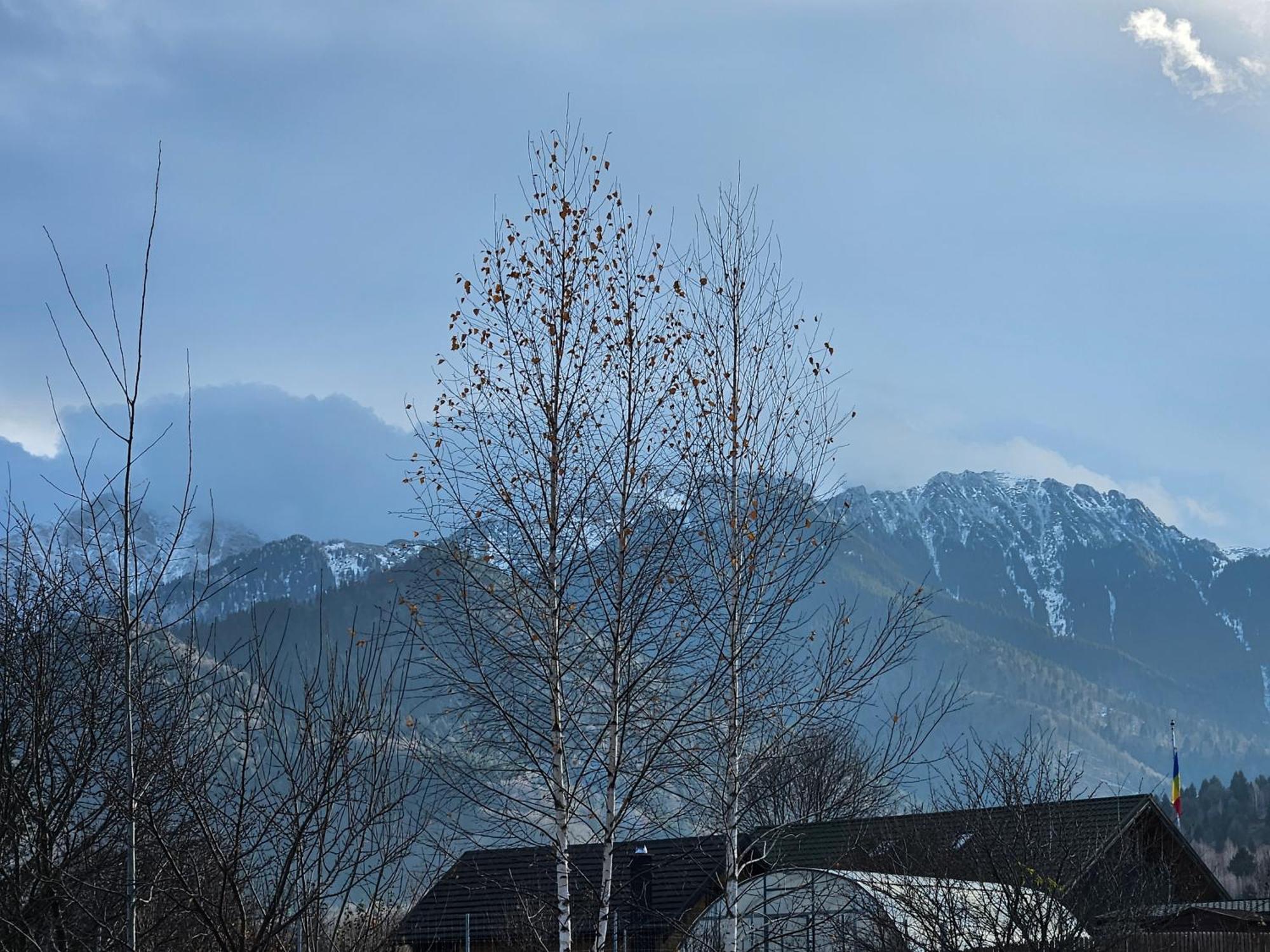 Cabana Bujor De Munte Rîşnov Esterno foto